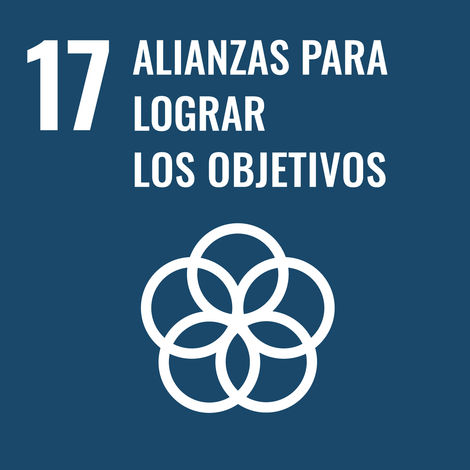 Objetivo 17: Revitalizar la Alianza Mundial para el Desarrollo Sostenible